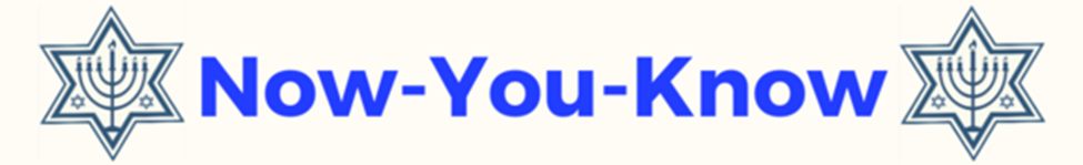 Now You Know logo